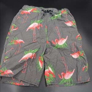 Flamingo Print Shorts